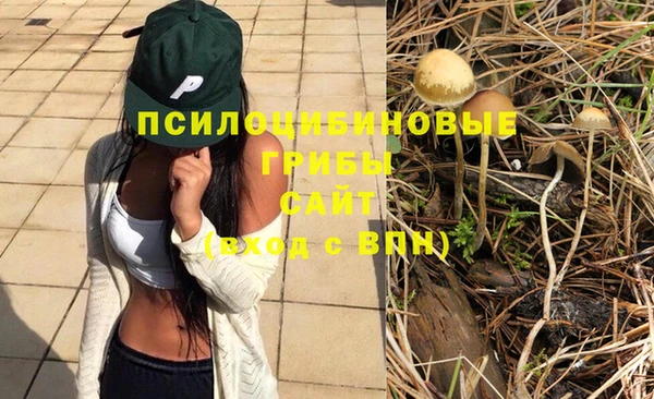 соль ск Балахна