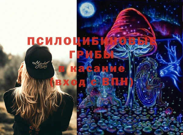 соль ск Балахна