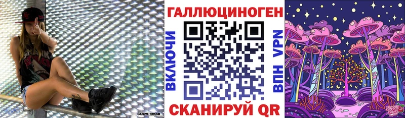цена Городище Псилоцибиновые грибы ЛСД